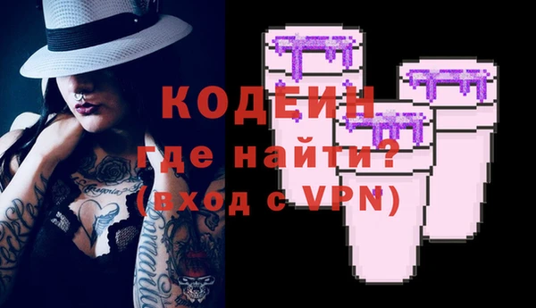 крисы Верхний Тагил