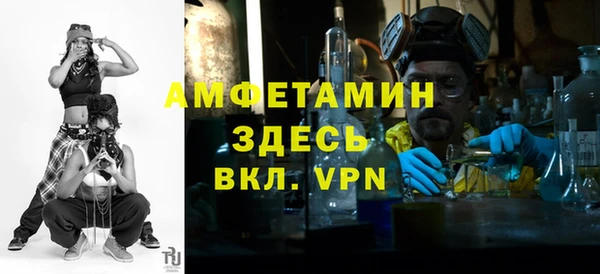 крисы Верхний Тагил