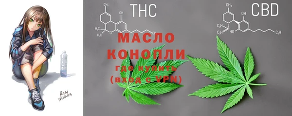 крисы Верхний Тагил