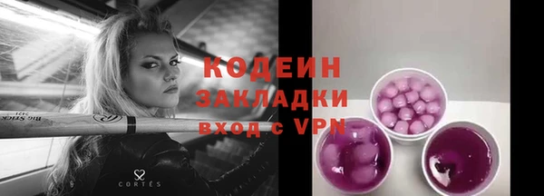 крисы Верхний Тагил