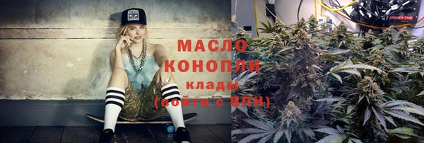 крисы Верхний Тагил