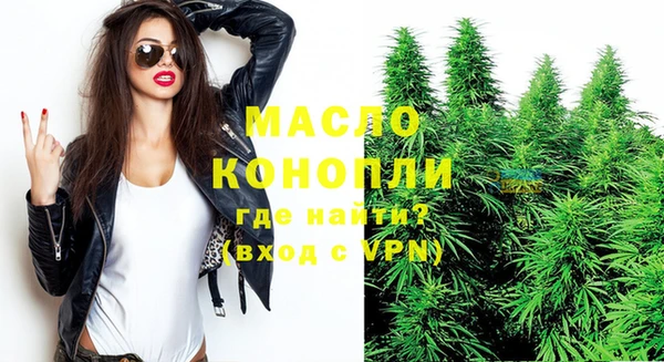 крисы Верхний Тагил