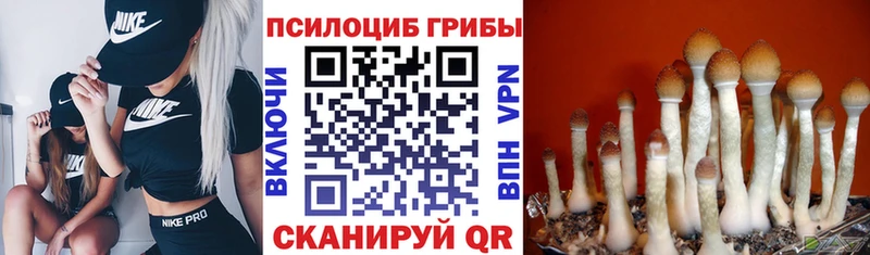 Псилоцибиновые грибы мухоморы  Назарово 