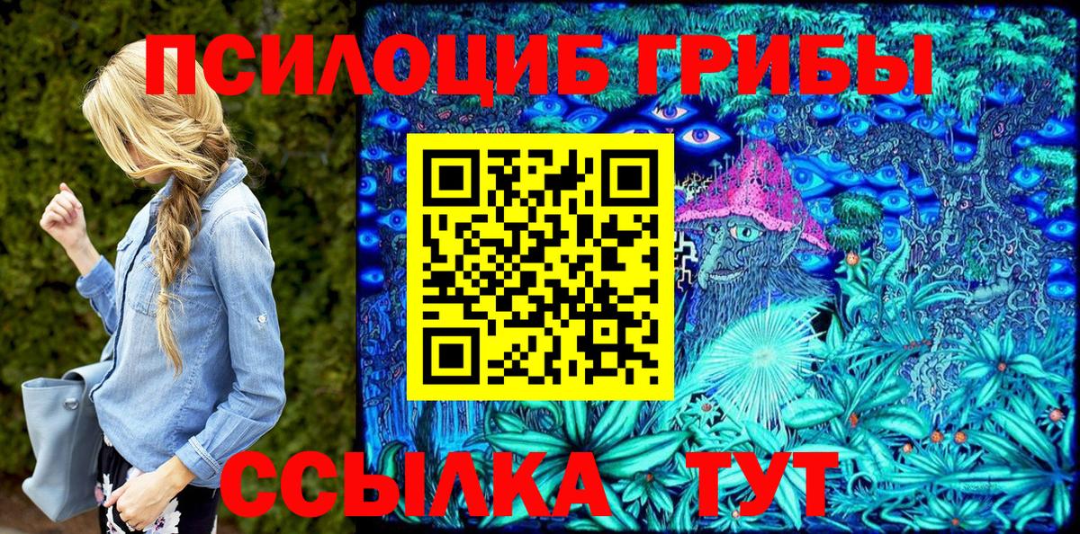 Назарово  Псилоцибиновые грибы Psilocybine cubensis  Вход с VPN 